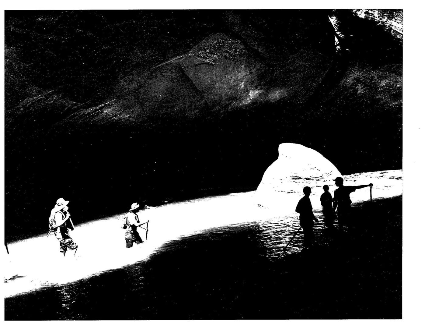 A group of people standing in the water.