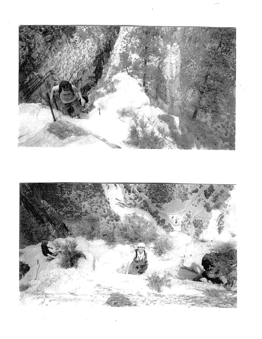 Two pictures of a person in the water.