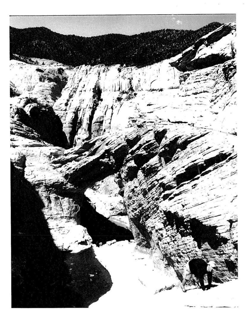 A black and white photo of some rocks