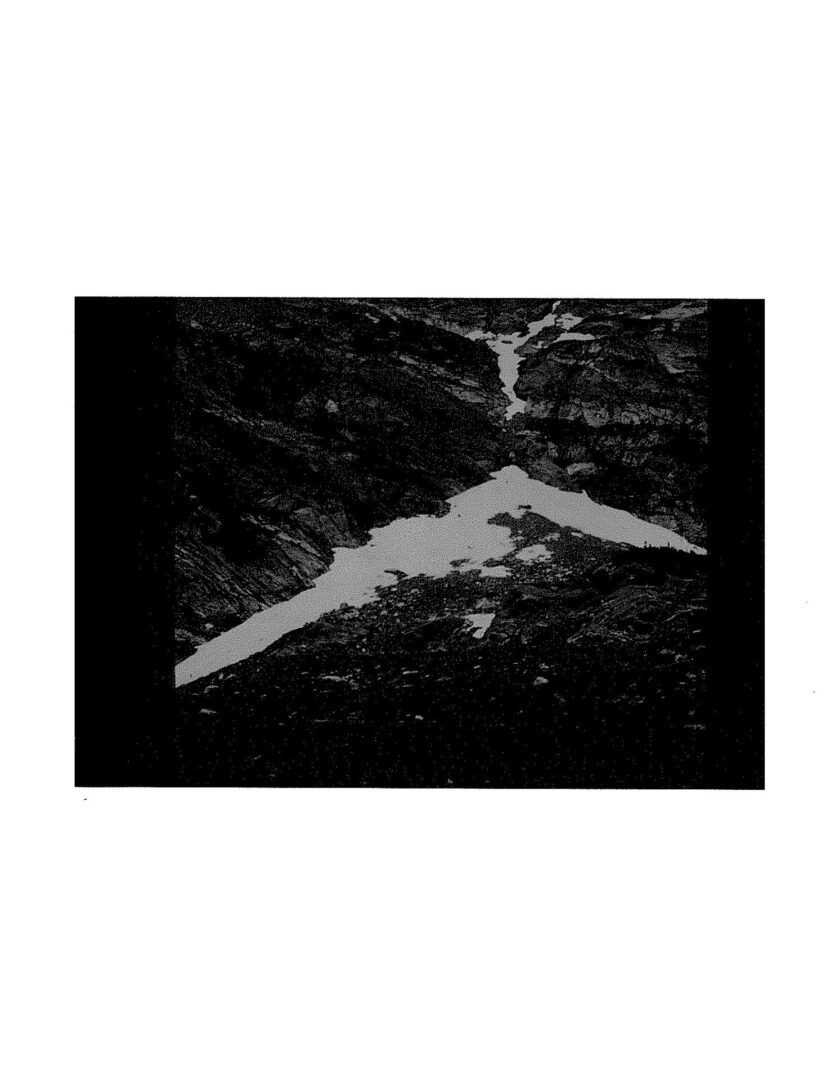 A black and white photo of an animal.