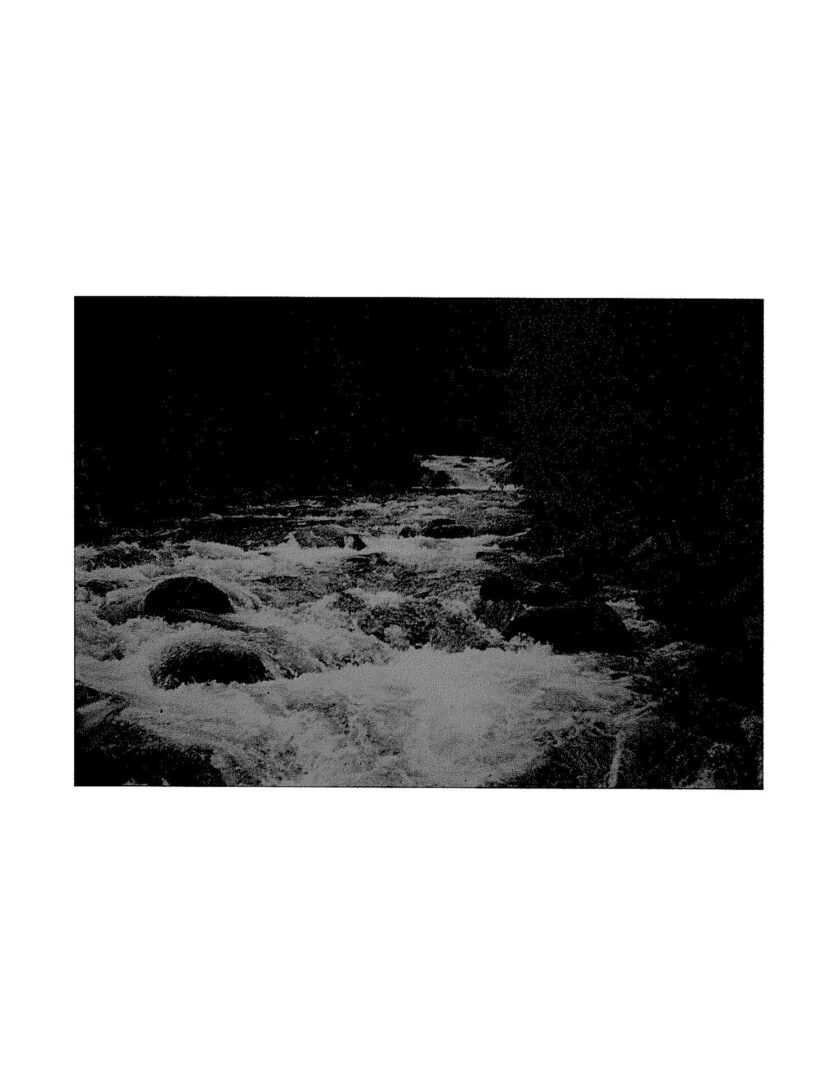 A black and white photo of some rocks