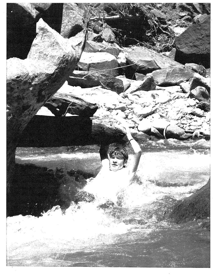 A person in the water with rocks behind them.