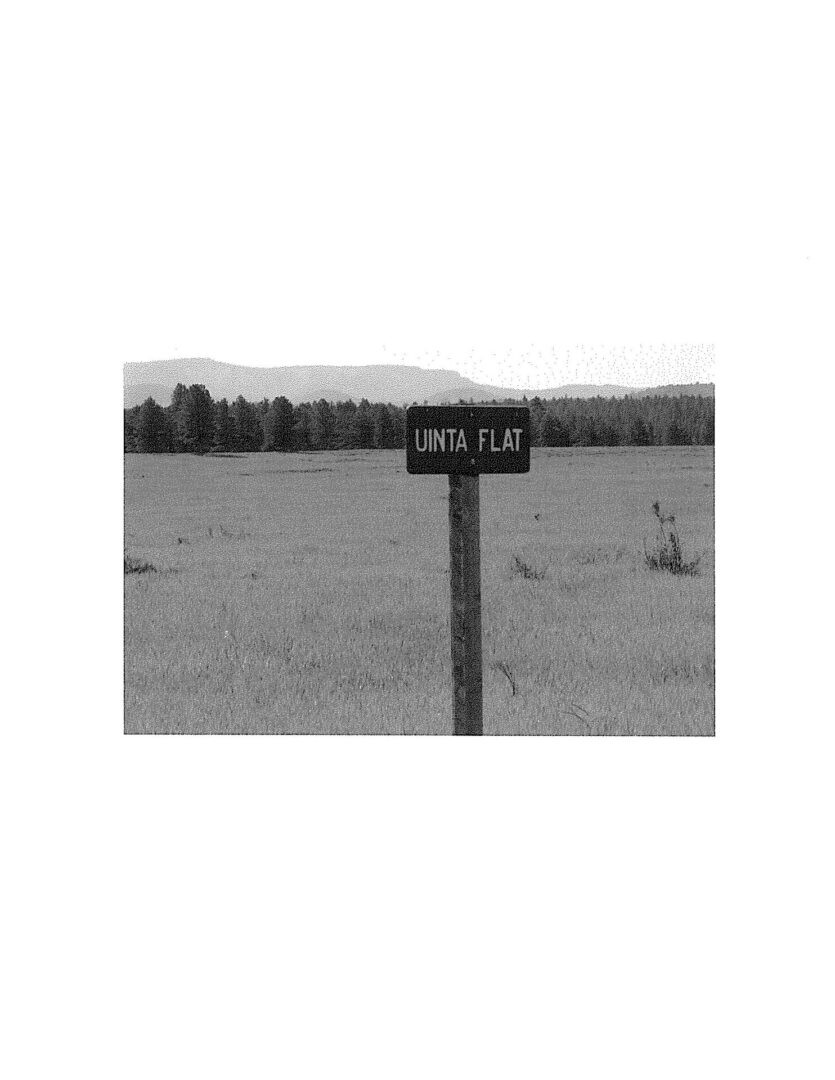 A black and white photo of a street sign.